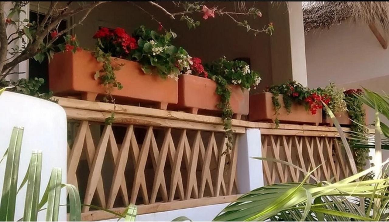 Villa Maria Bed And Breakfast Puerto Escondido  Eksteriør billede