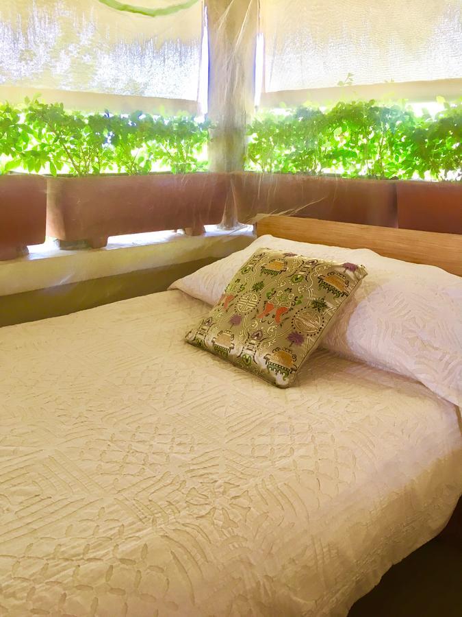 Villa Maria Bed And Breakfast Puerto Escondido  Eksteriør billede